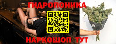 СК Гусь-Хрустальный