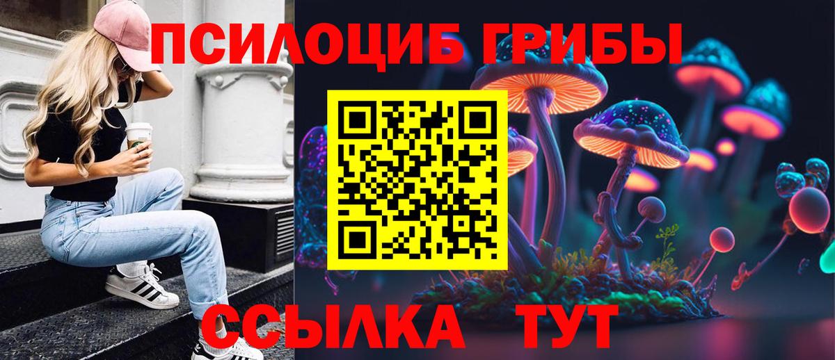 Псилоцибиновые грибы Psilocybine cubensis Щёлково