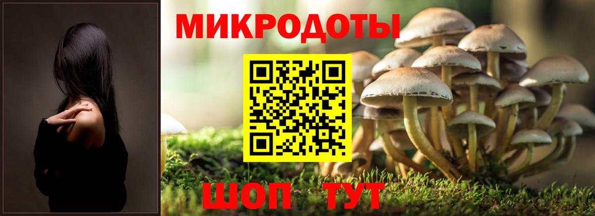 Щёлково  Галлюциногенные грибы мухоморы  Галлюциногенные грибы прущие грибы  Вход с VPN 